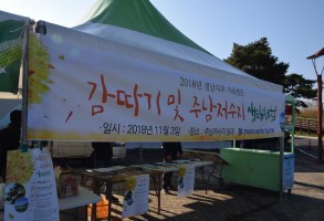 181103가족체험행사-감따기
